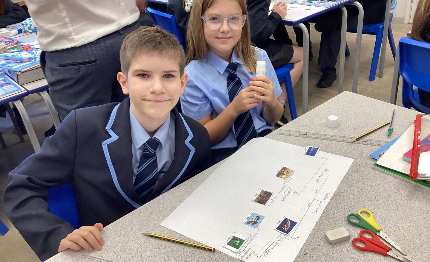 Image of Classifying Animals Using Classification Keys - Year 6 Science