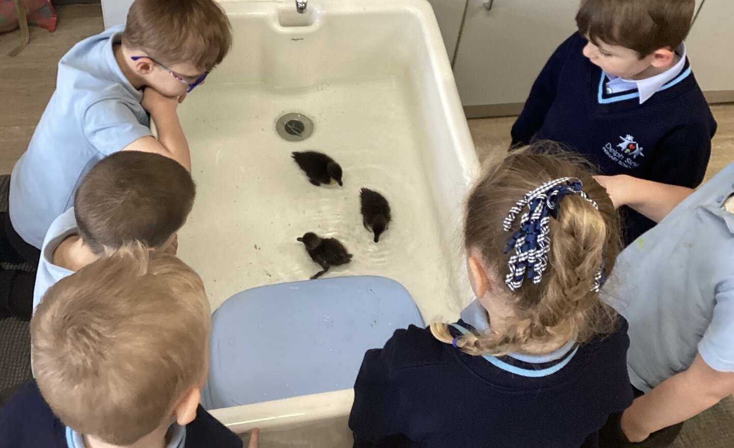 Image of Reception- Weighing & bathing the ducklings