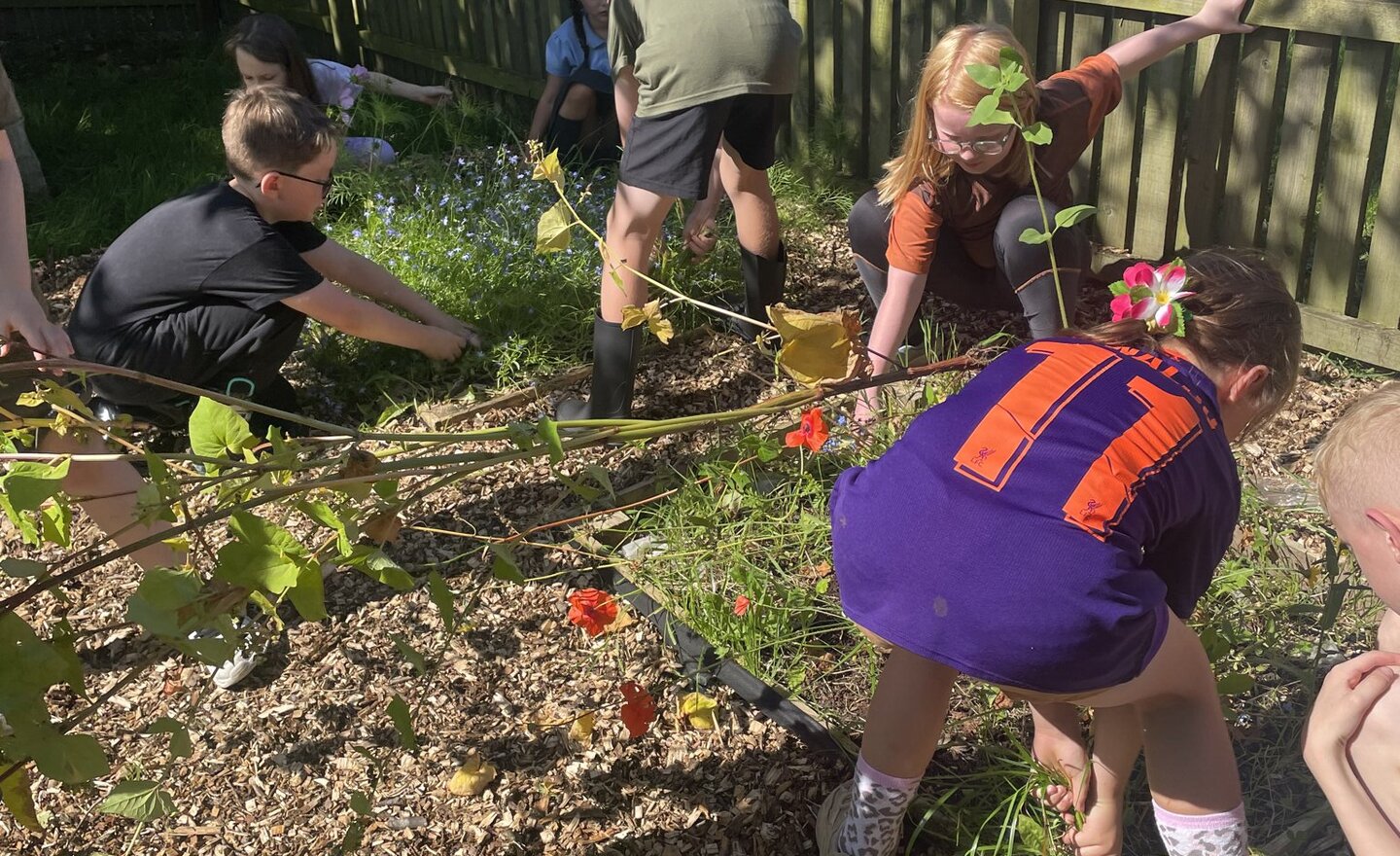 Image of Gardening at Forest School! 