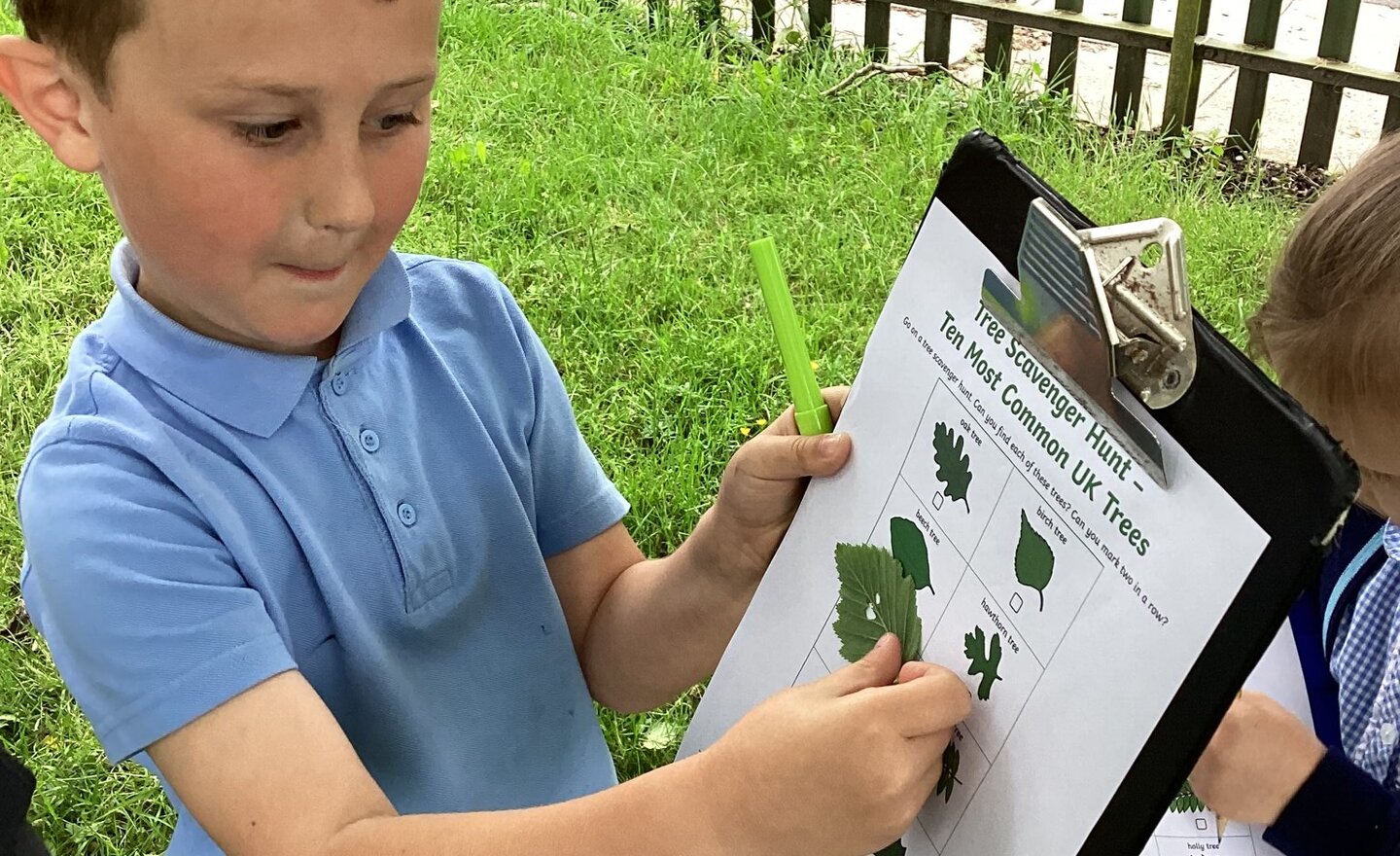 Image of Year 1 - Science- Trees and leaves 