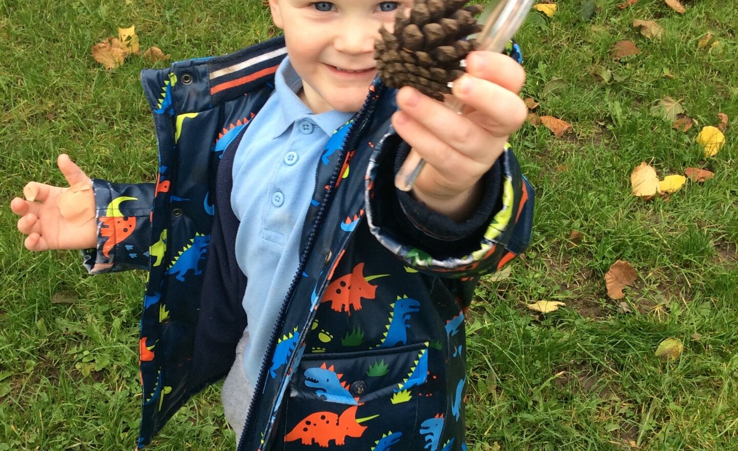 Image of Autumn Walk- Looking for signs of Autumn!