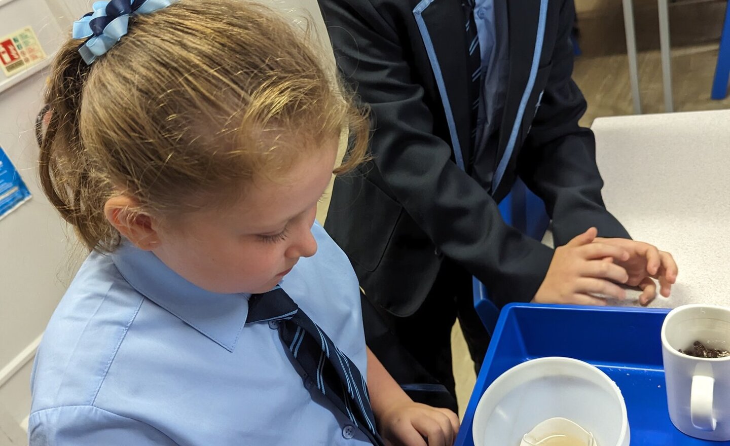 Image of Year Five sieving and filtering