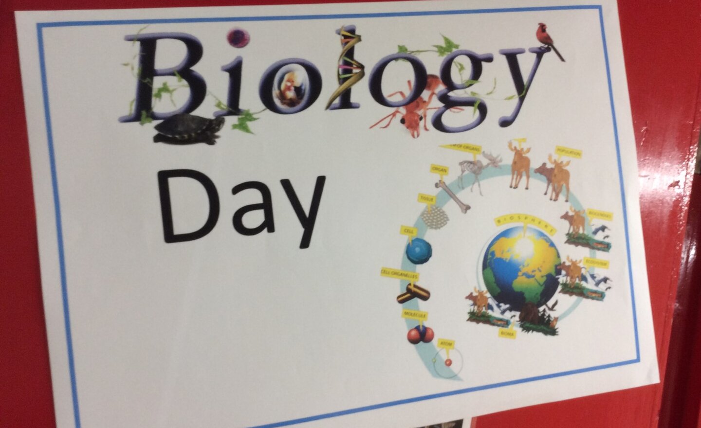 Image of Year 3 - Science Week - Biology Day