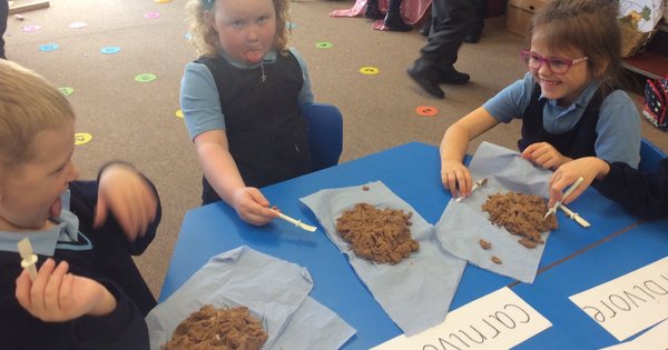 Year 1 - Exploring animal poo! | Delph Side Community Primary School