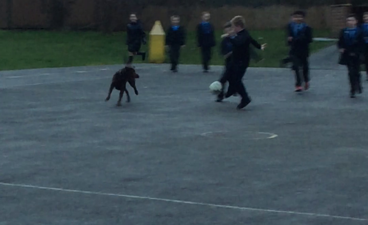 Image of Football fun with Poppy!