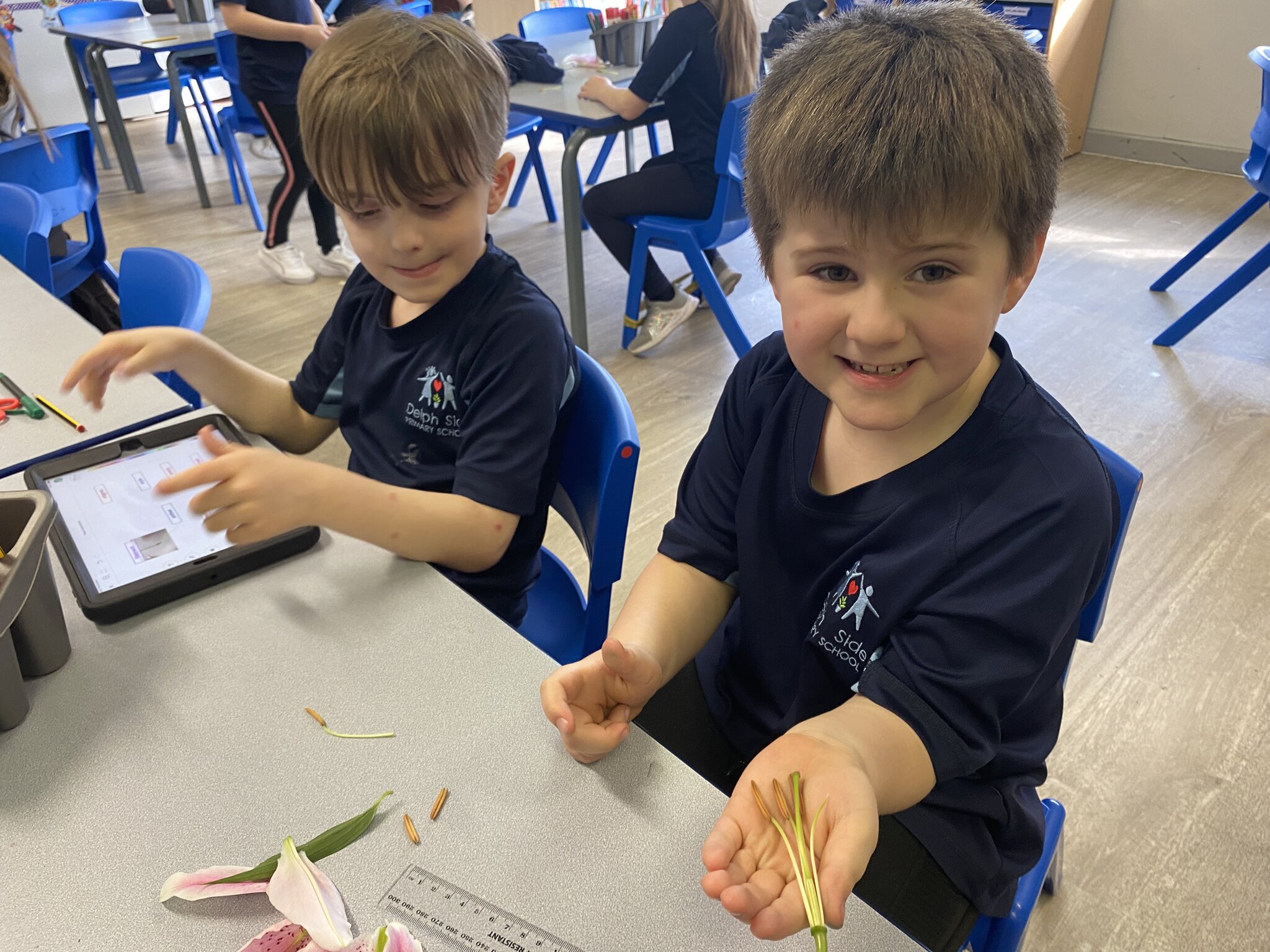 Image of Year 3 - Dissecting a flower