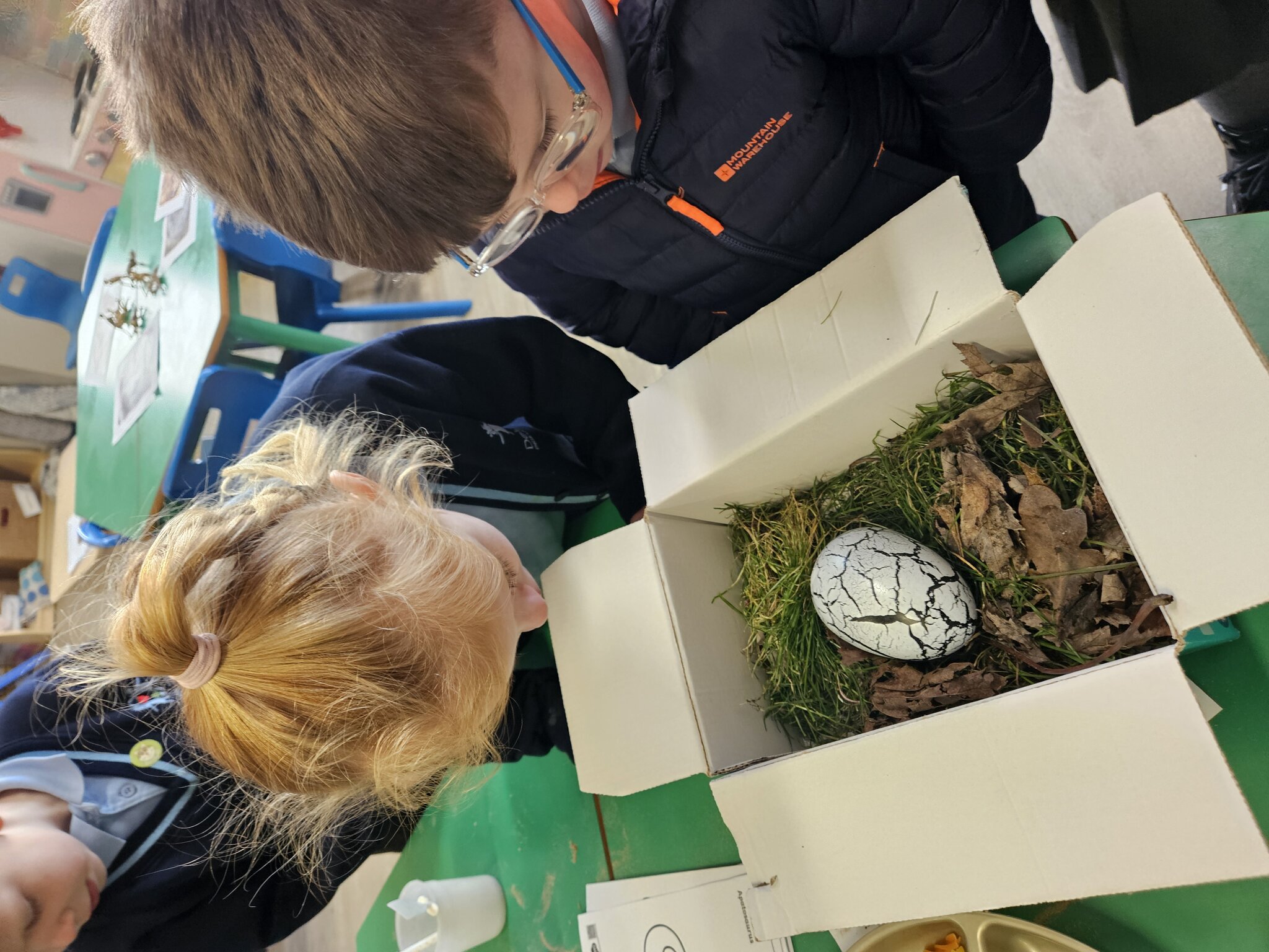 Image of Reception- Dinosaur egg discovery