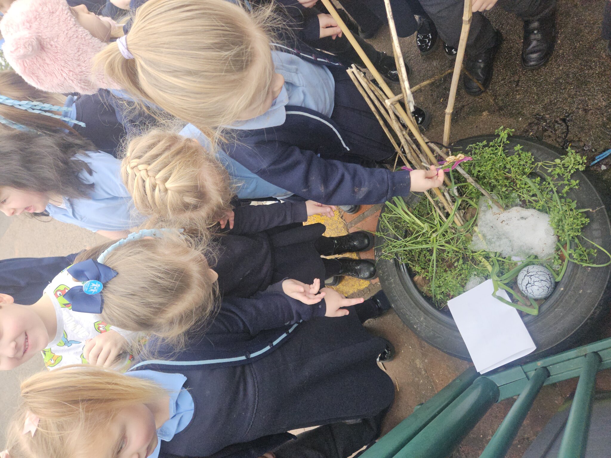 Image of Reception- Dinosaur egg discovery