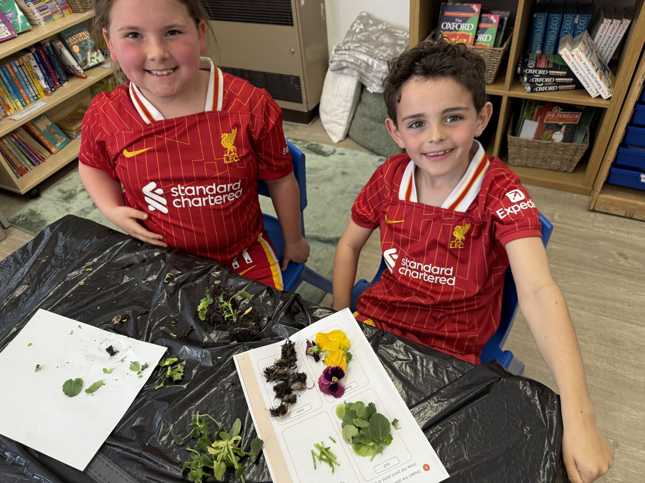 Image of Plant dissection in Year 3
