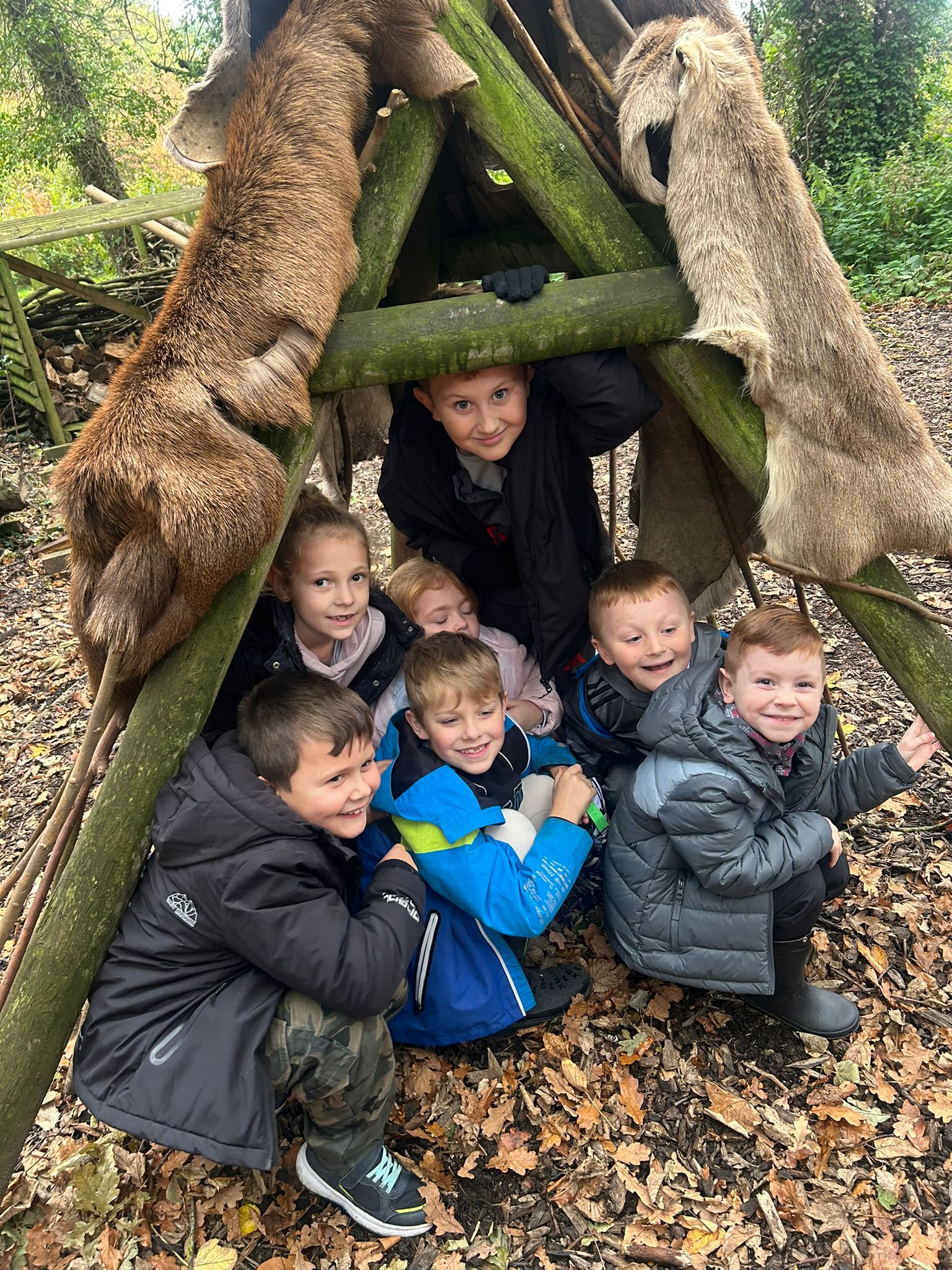 Image of Tatton Park 2025