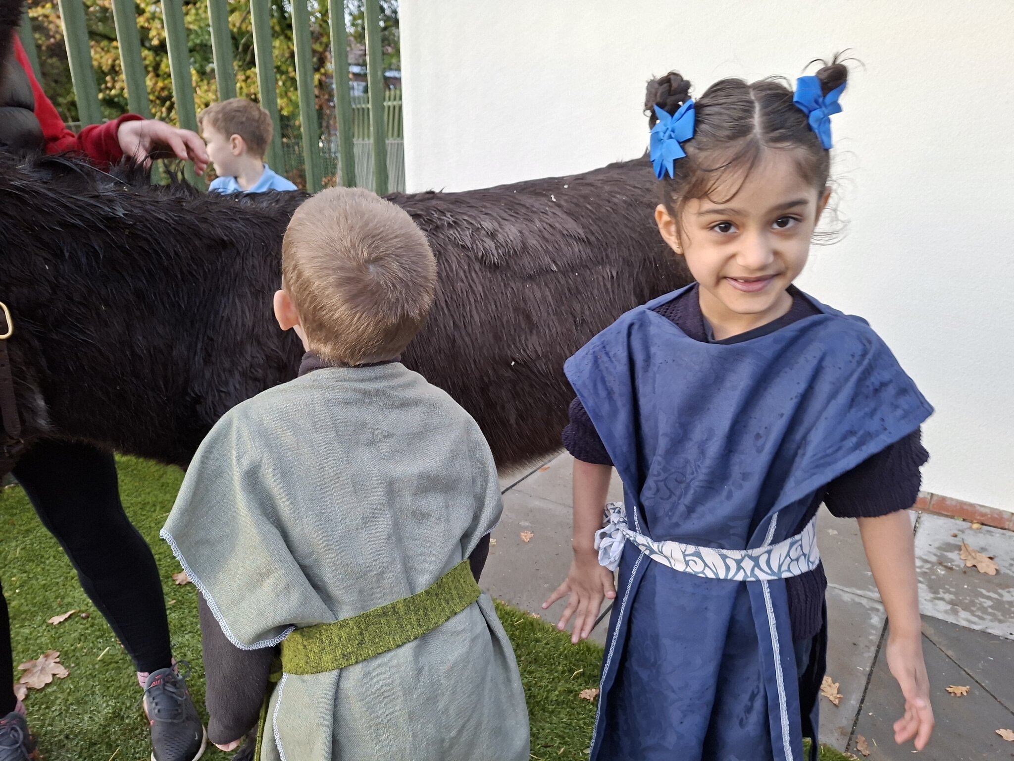 Image of A Wild and Wonderful Time in The Hangout!