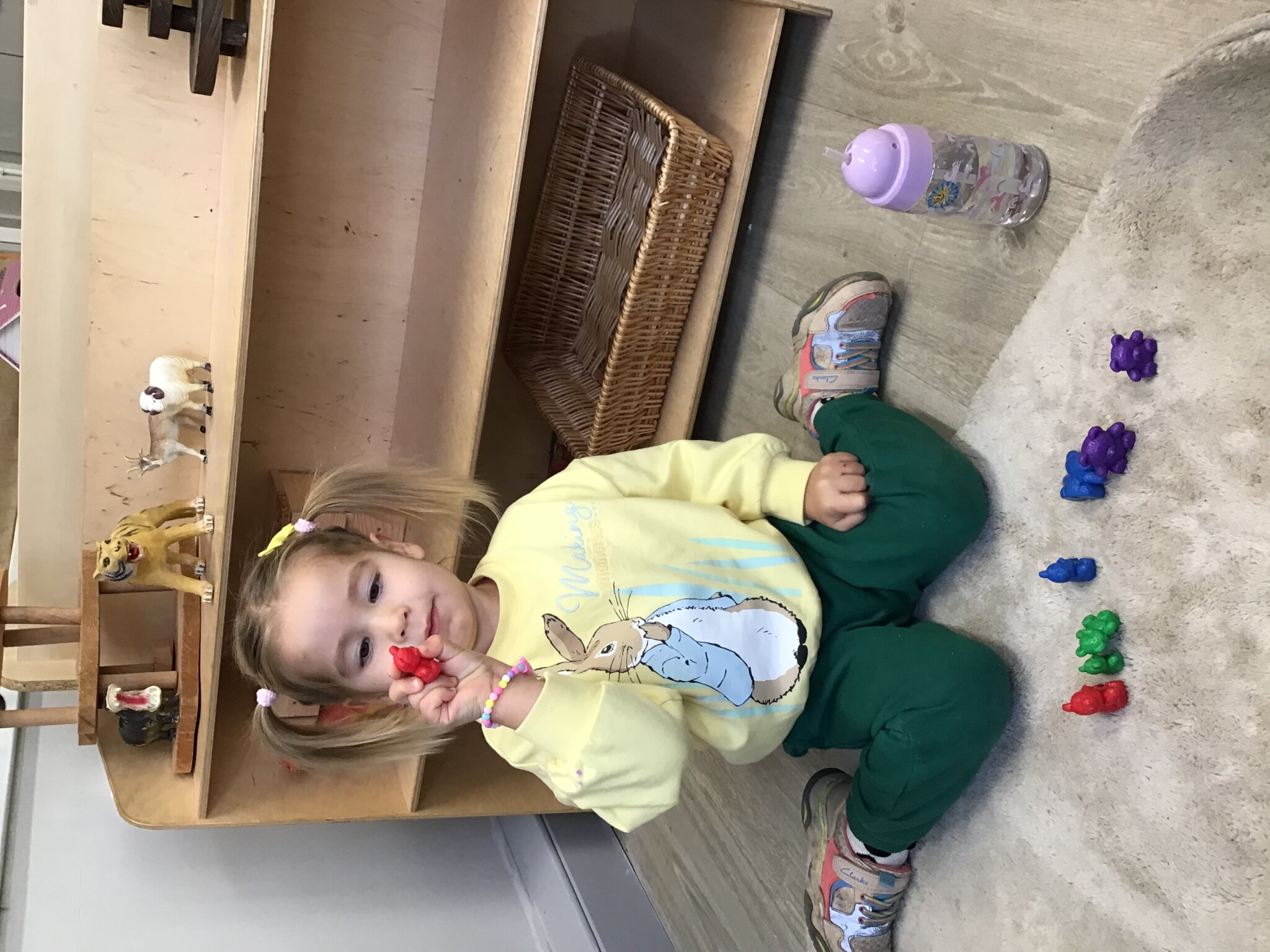 Image of The Christmas Story