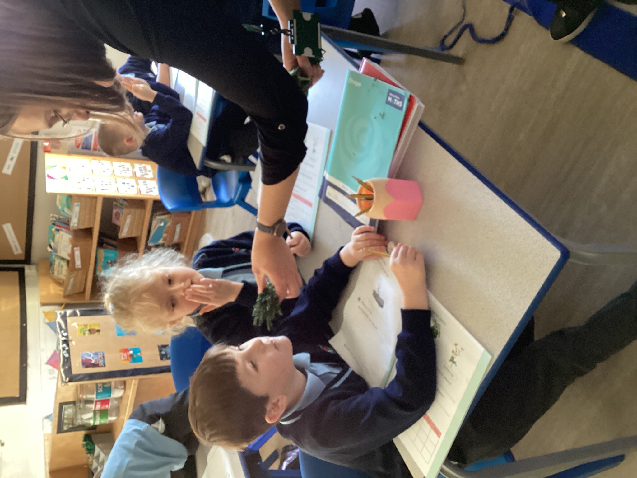 Image of Year 2 - Plants