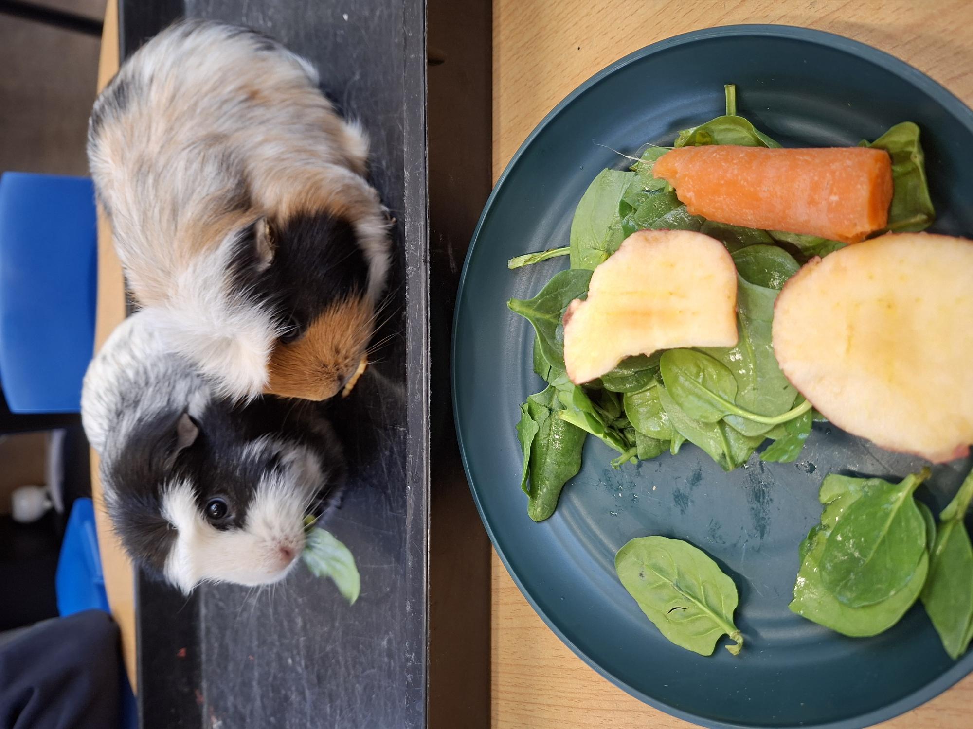 Image of Our Caring Crew