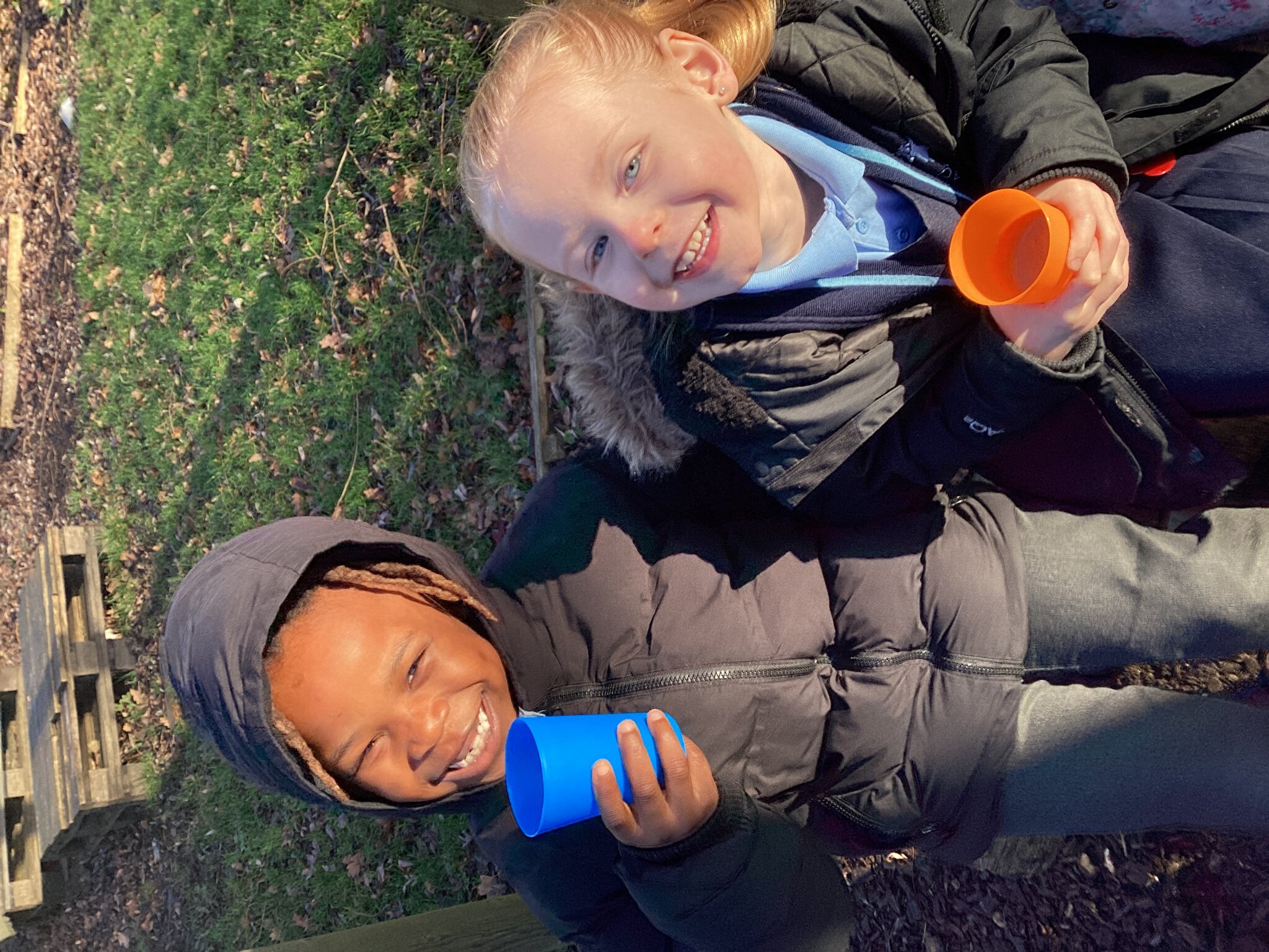 Image of  If you down down into the woods