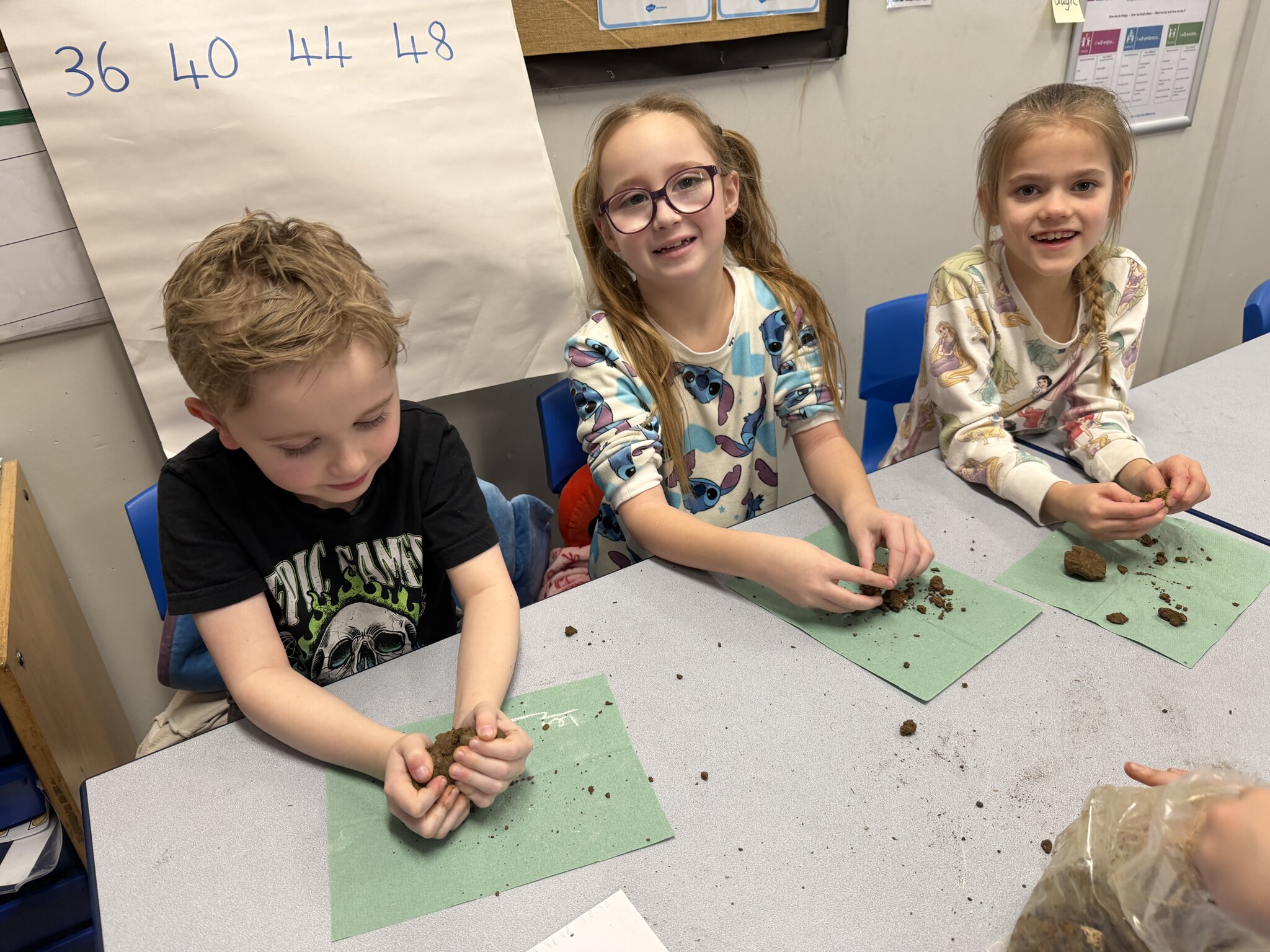 Image of Exploring soils 2026