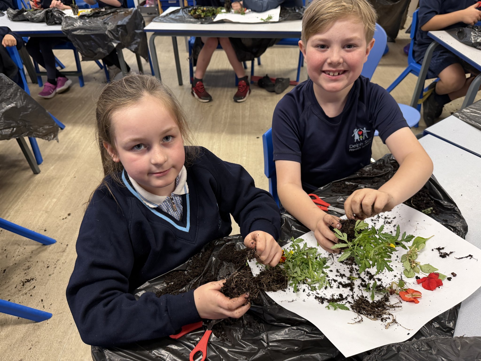 Image of Plant Dissection in Year 3
