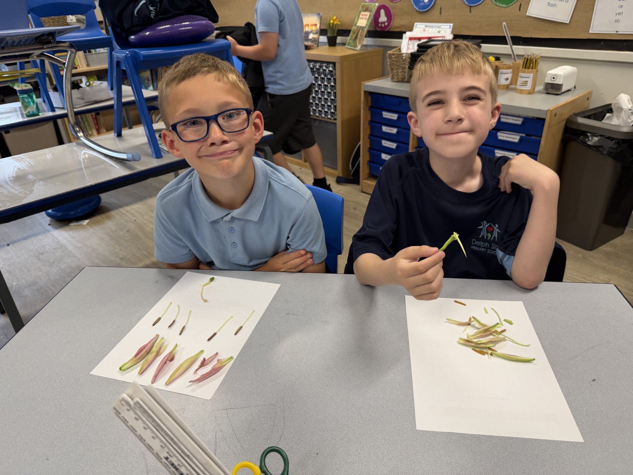Image of Flower dissection
