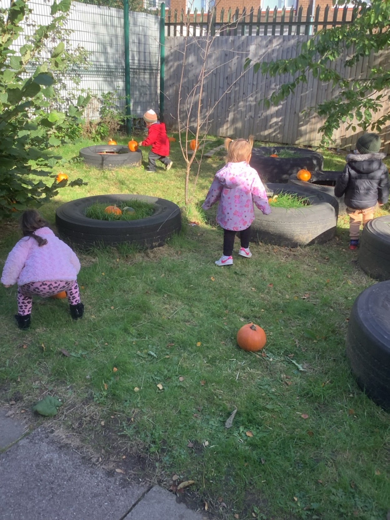 Image of Nursery 2's - Pumpkins and Potions!