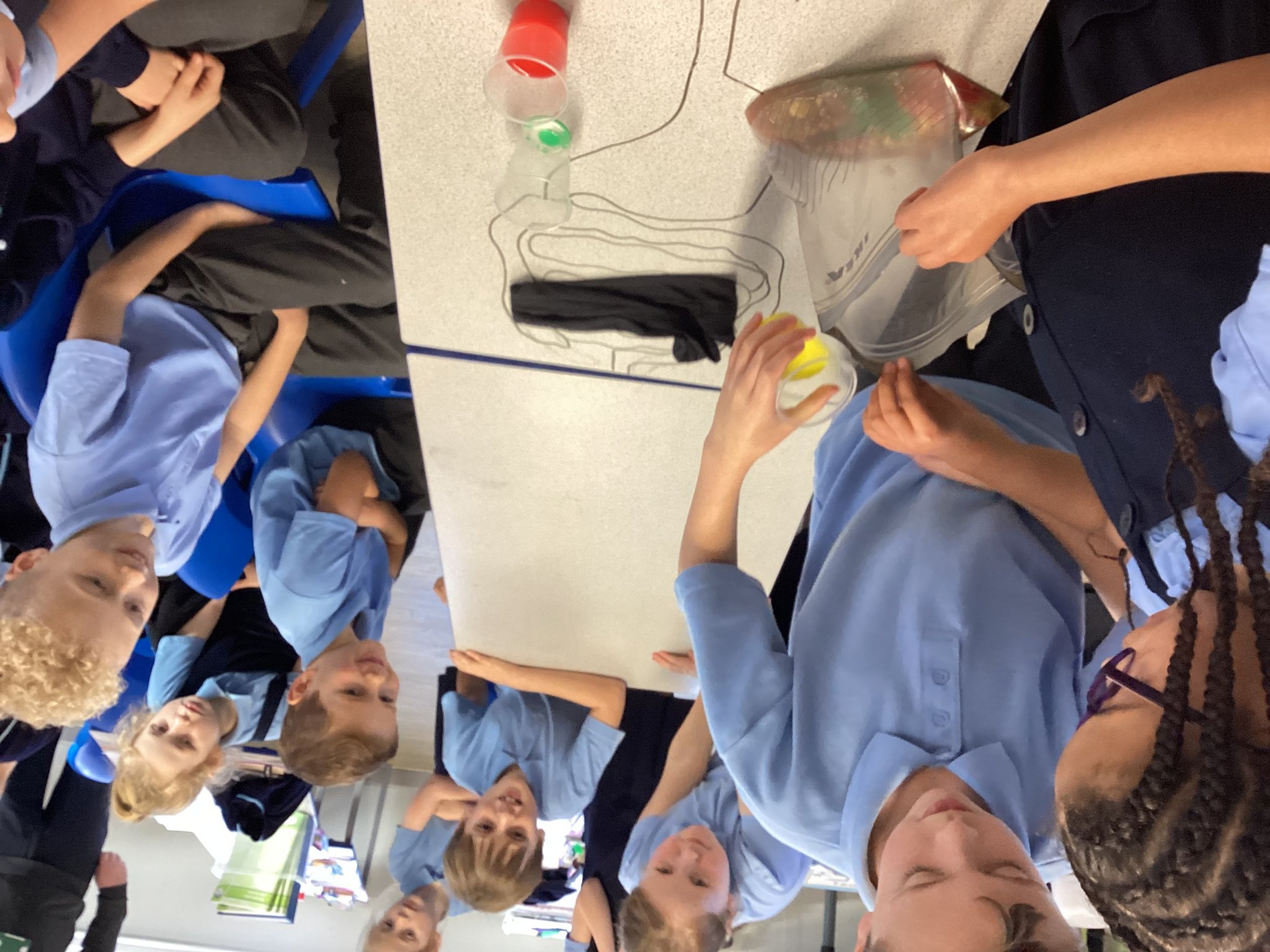 Image of Year 4 - The Digestive System