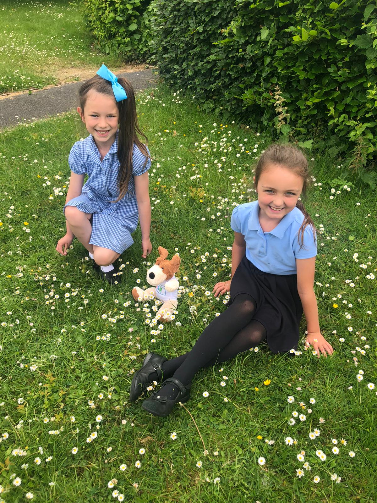 Image of Y3 playtime fun with dog teddies