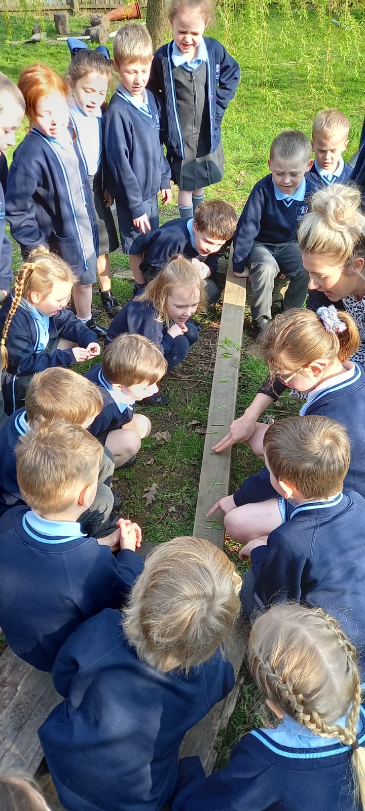 Image of Year 1 Counting in 2s and 5s! 