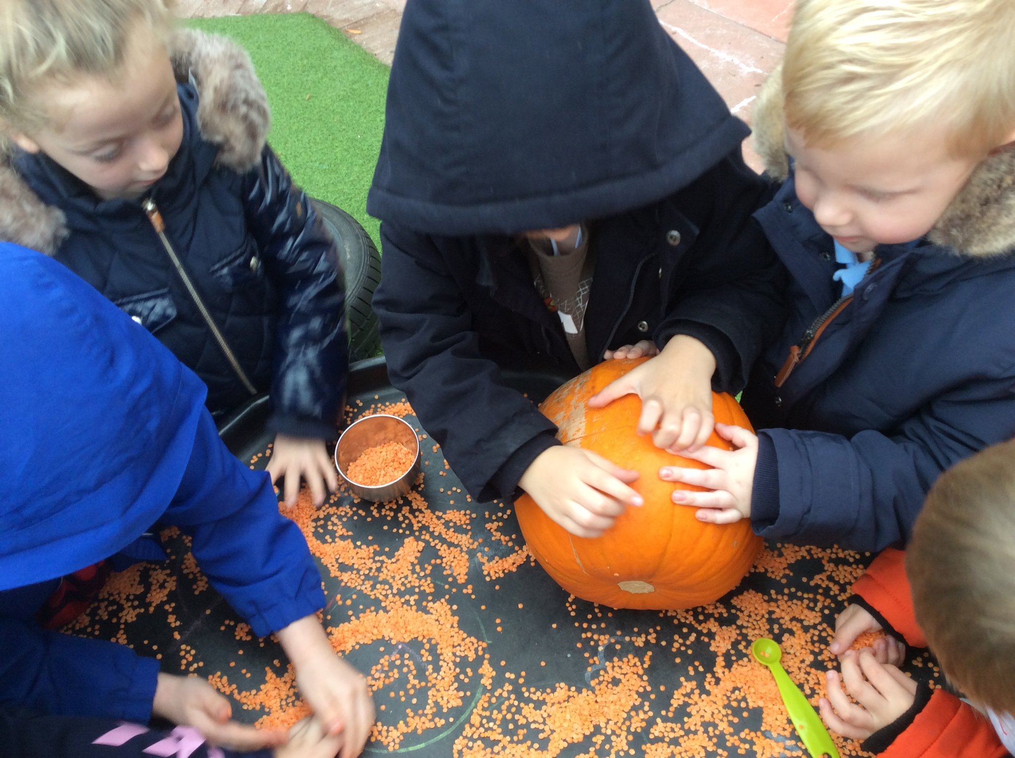 Image of Reception-Pumpkin fun