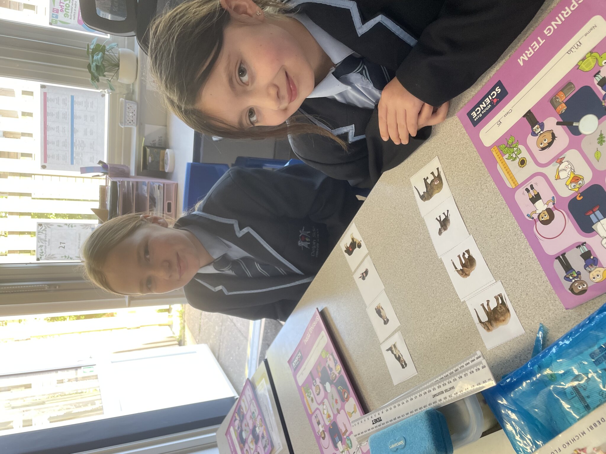 Image of Year 5 - Science (Mammals and Life Cycles)