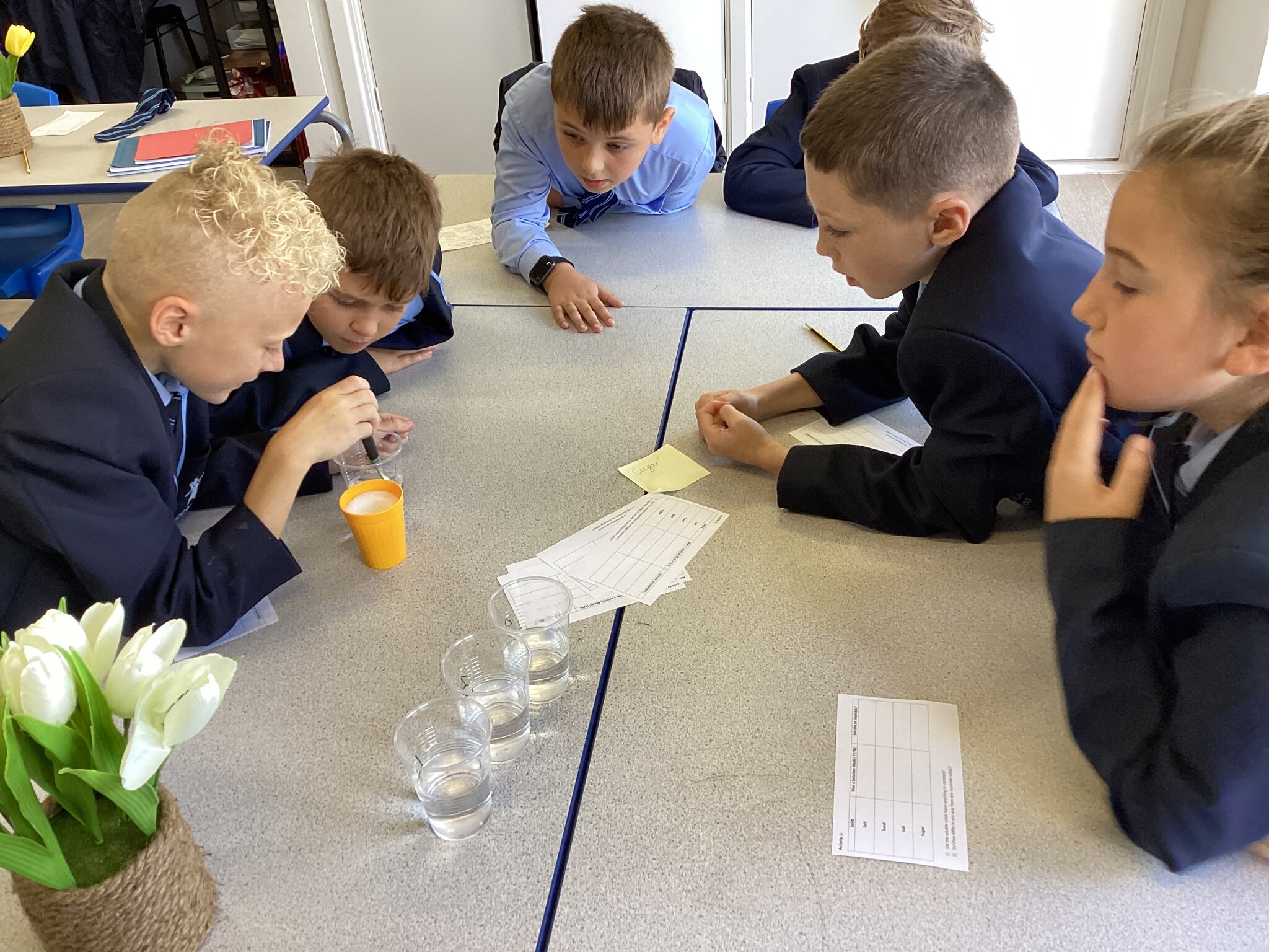 Image of Y5 Investigating solutes