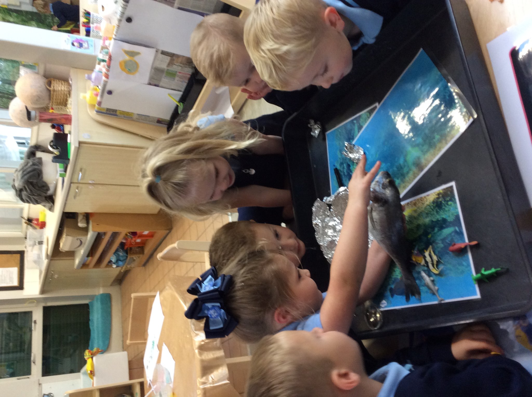 Image of Pre School fish investigation