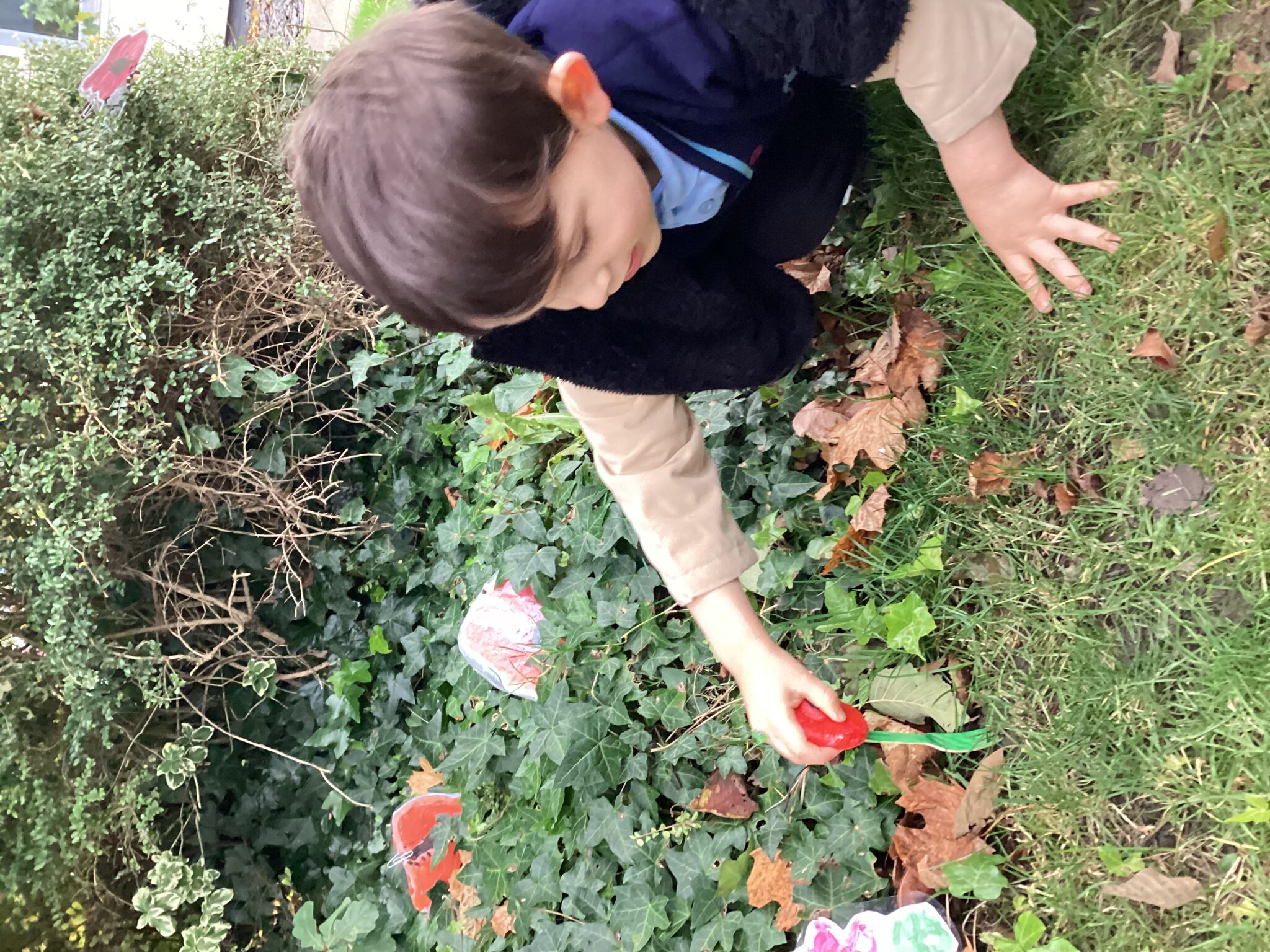 Image of Preschool Remembrance Day 2024