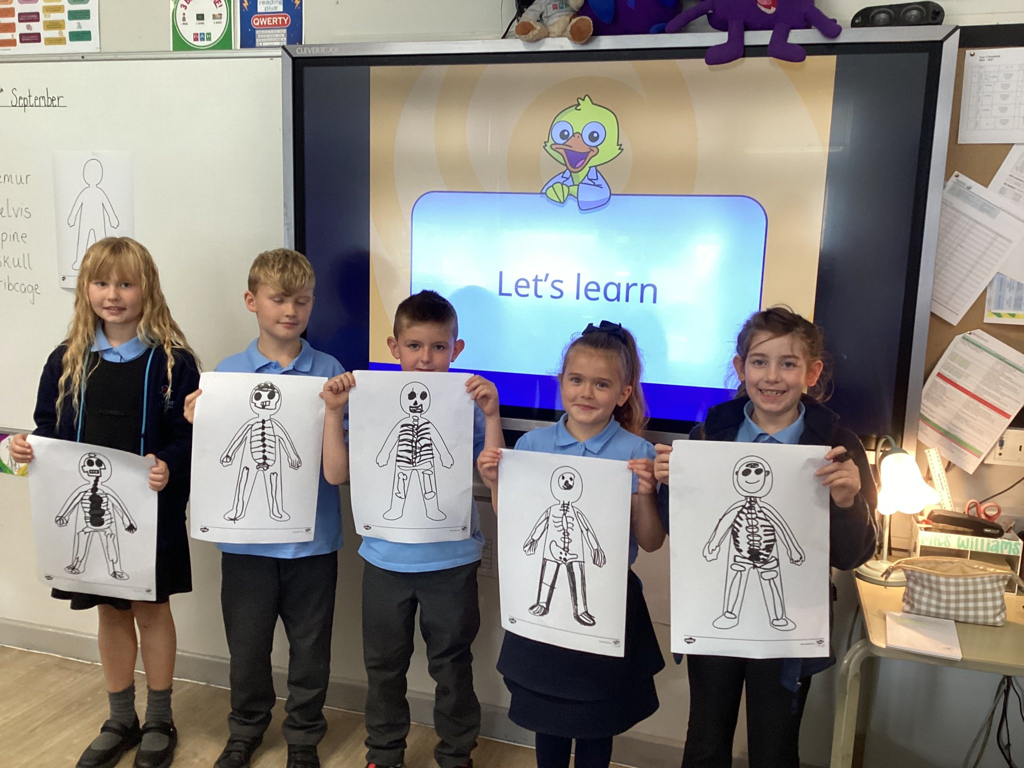 Image of Skeleton Experts in Year 3 🦴