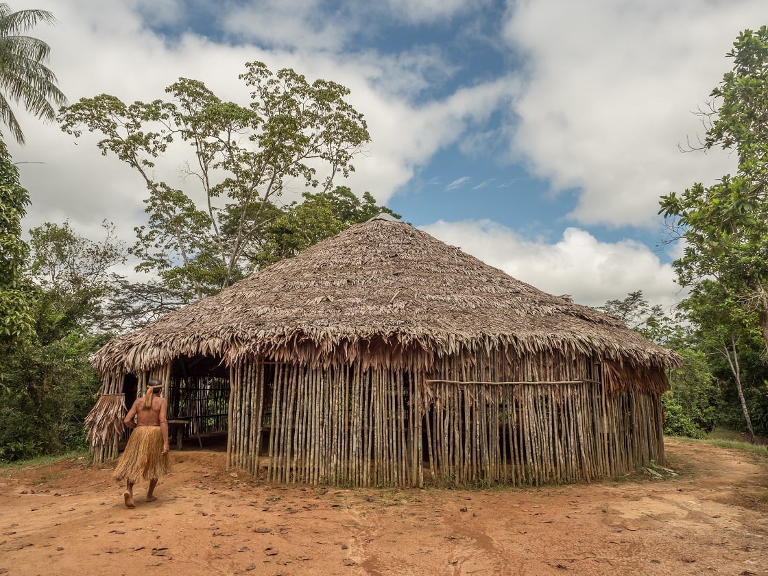 Image of Lee House Amazon Experience