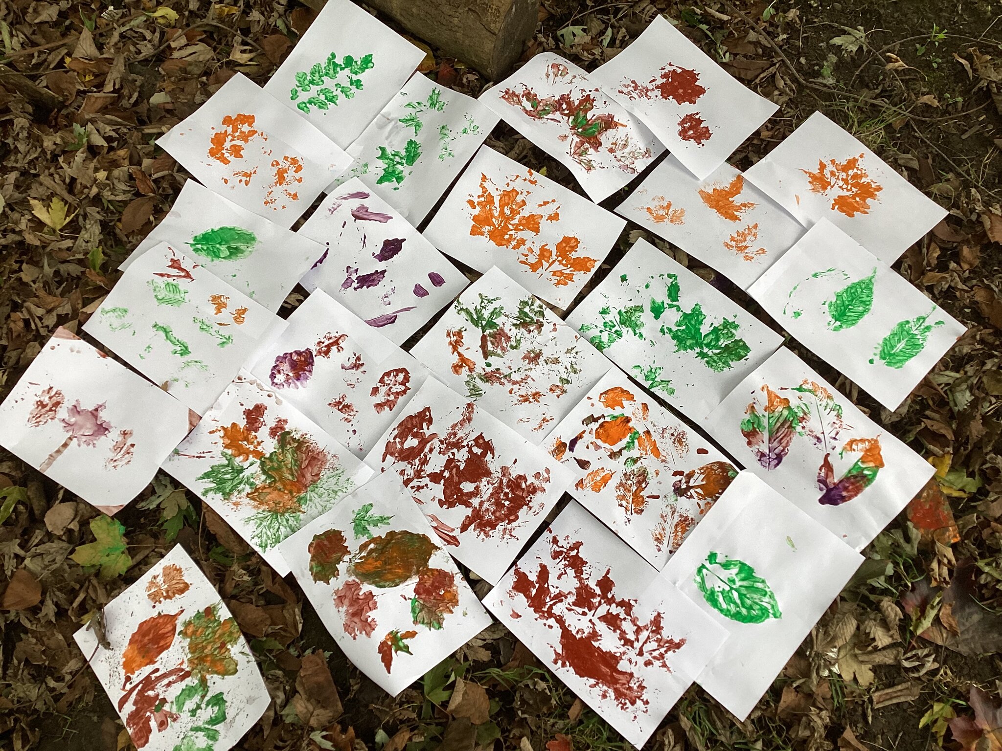 Image of Forest Schools and Mental Health Day 2025