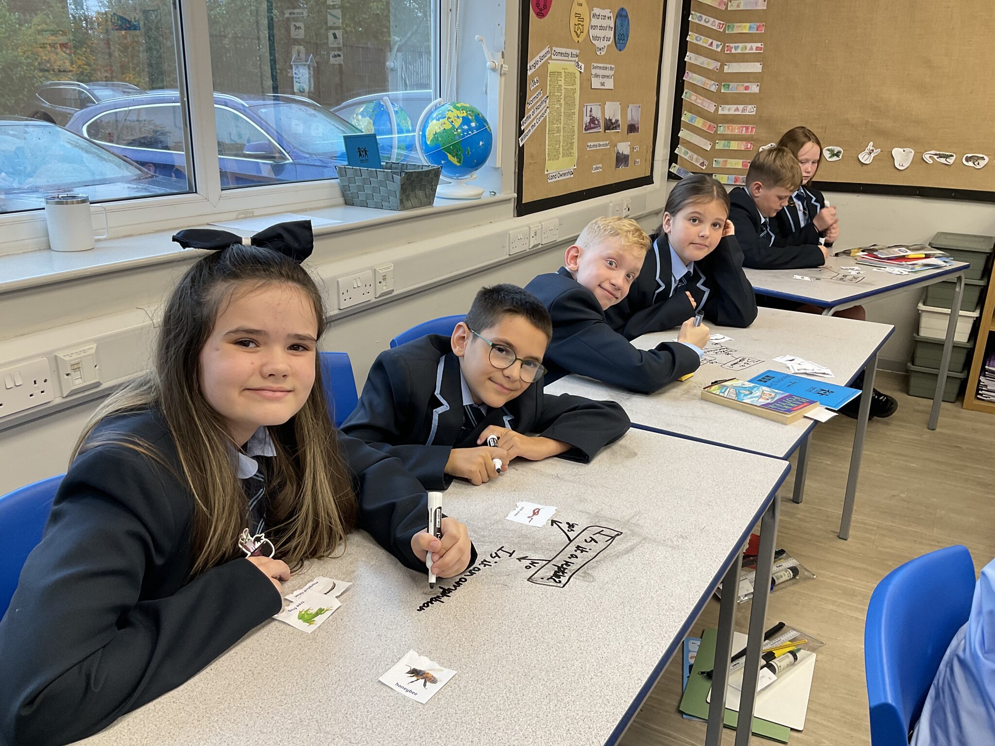 Image of Classification in Year 6 Science!