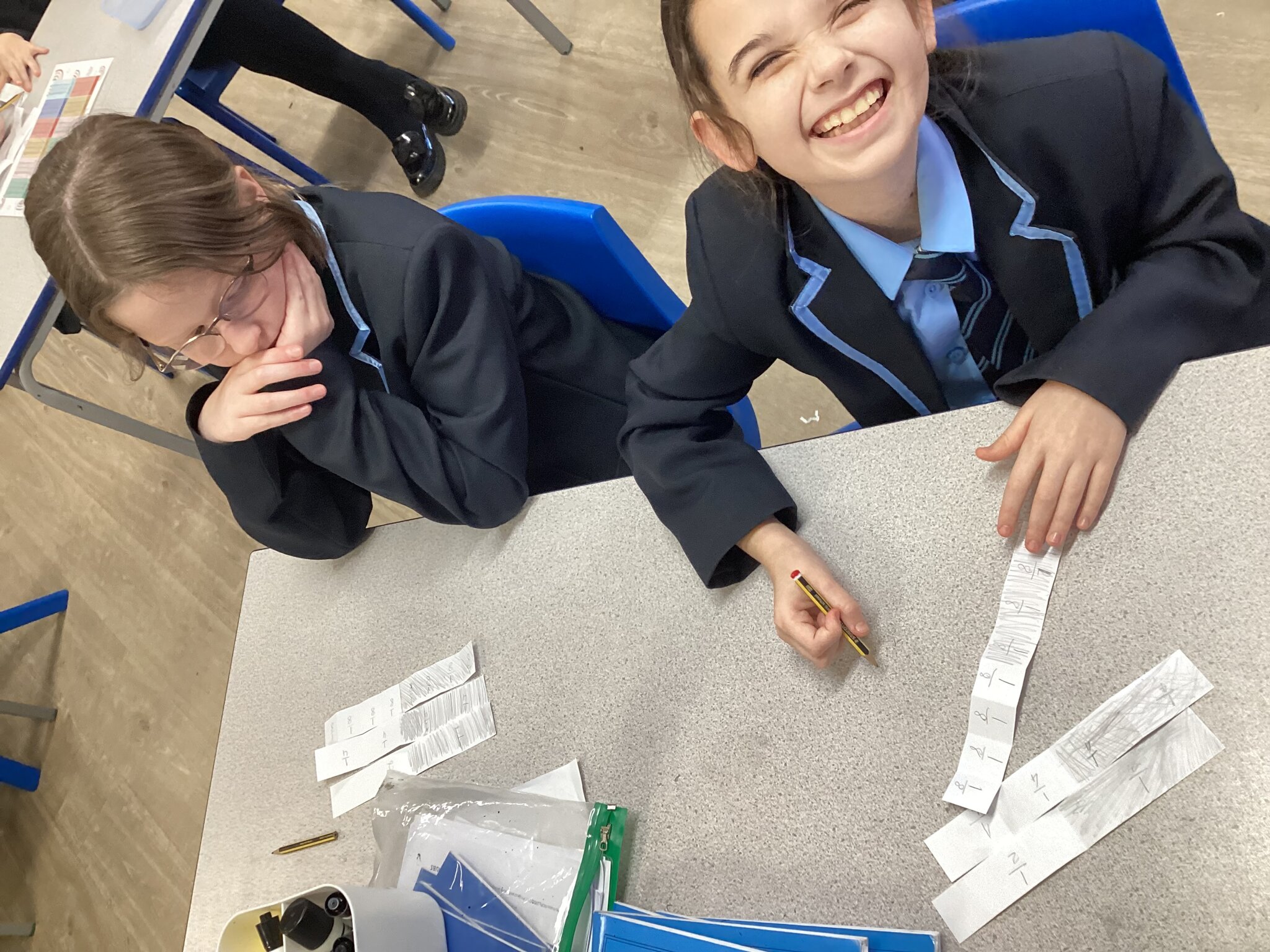 Image of Fractions, Fractions, Fractions 