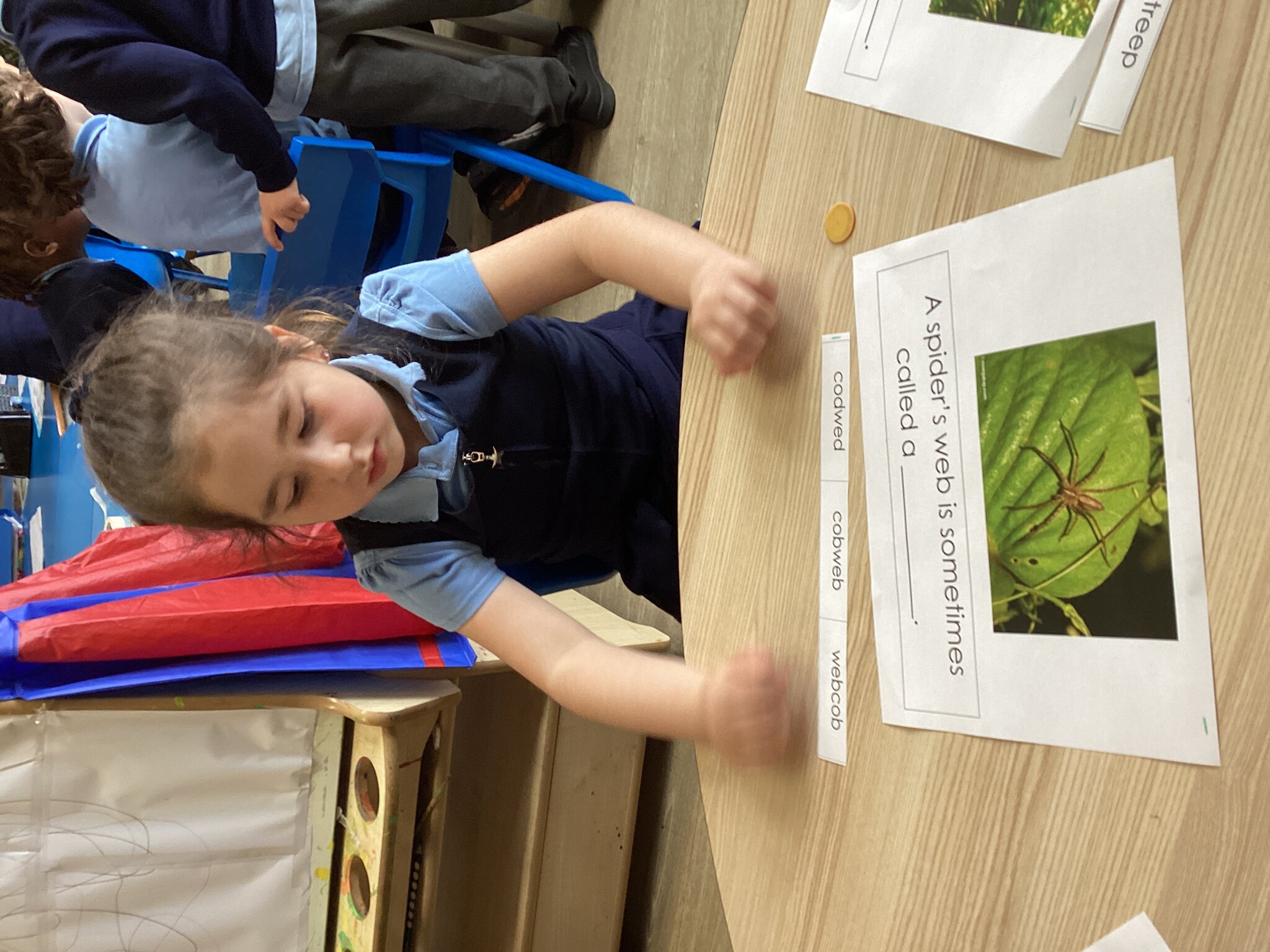 Image of Reception-Monkey Puzzle 2026