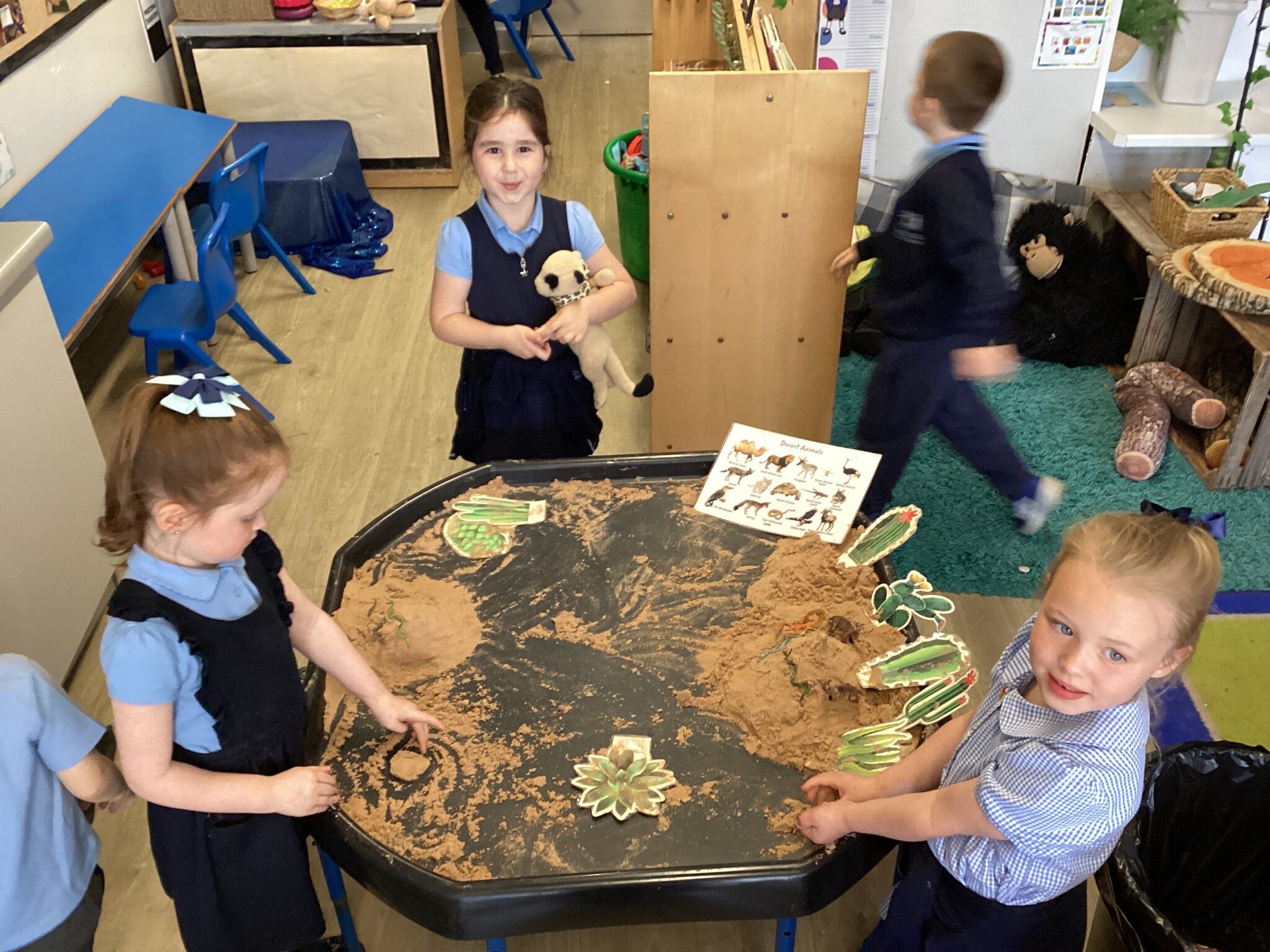 Image of Reception- Meerkat Mail 2026