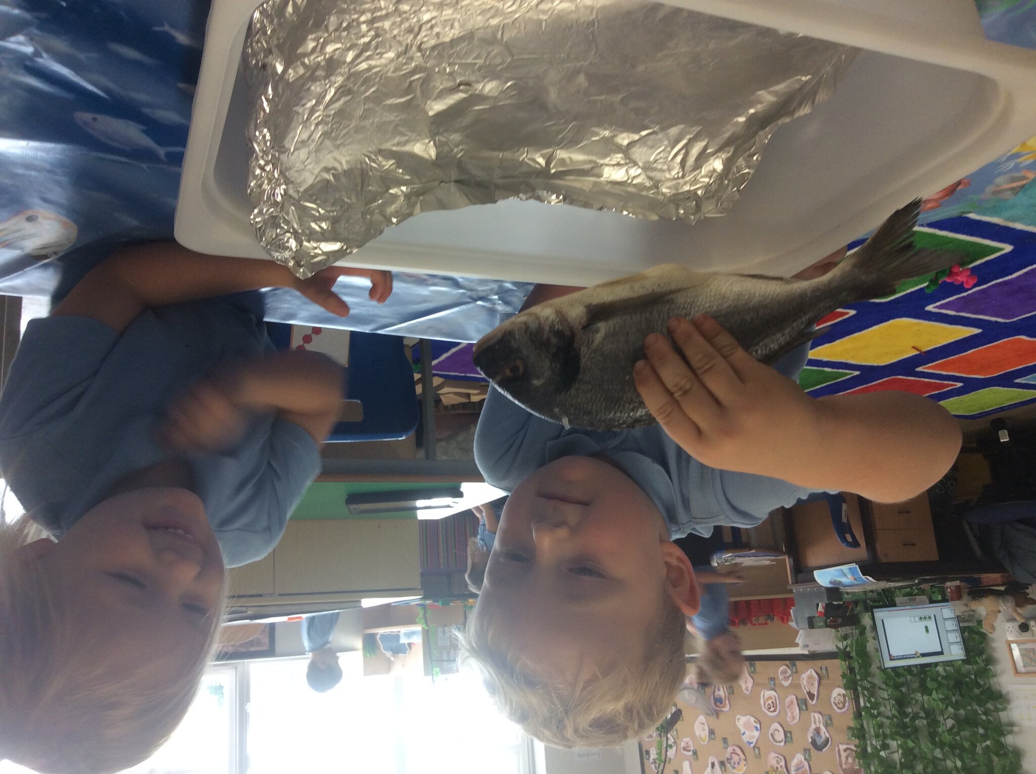 Image of Reception- The Rainbow Fish & comparing amounts