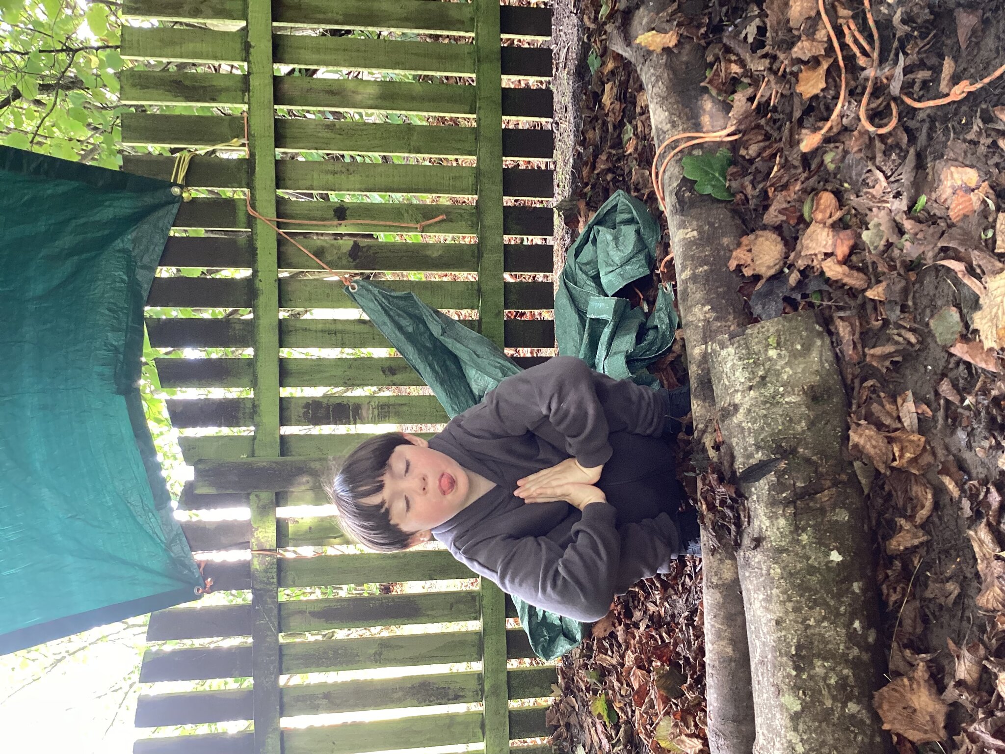 Image of Building Dens With The Hangout