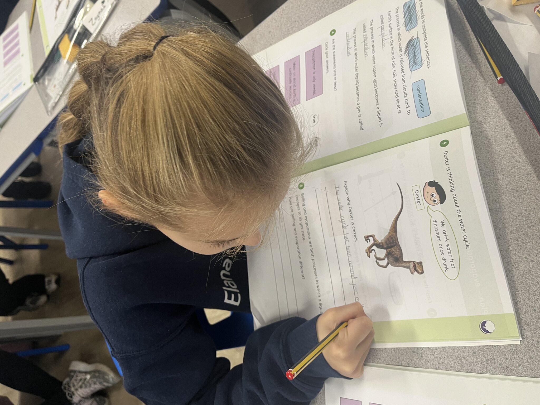 Image of Year 4: Science 