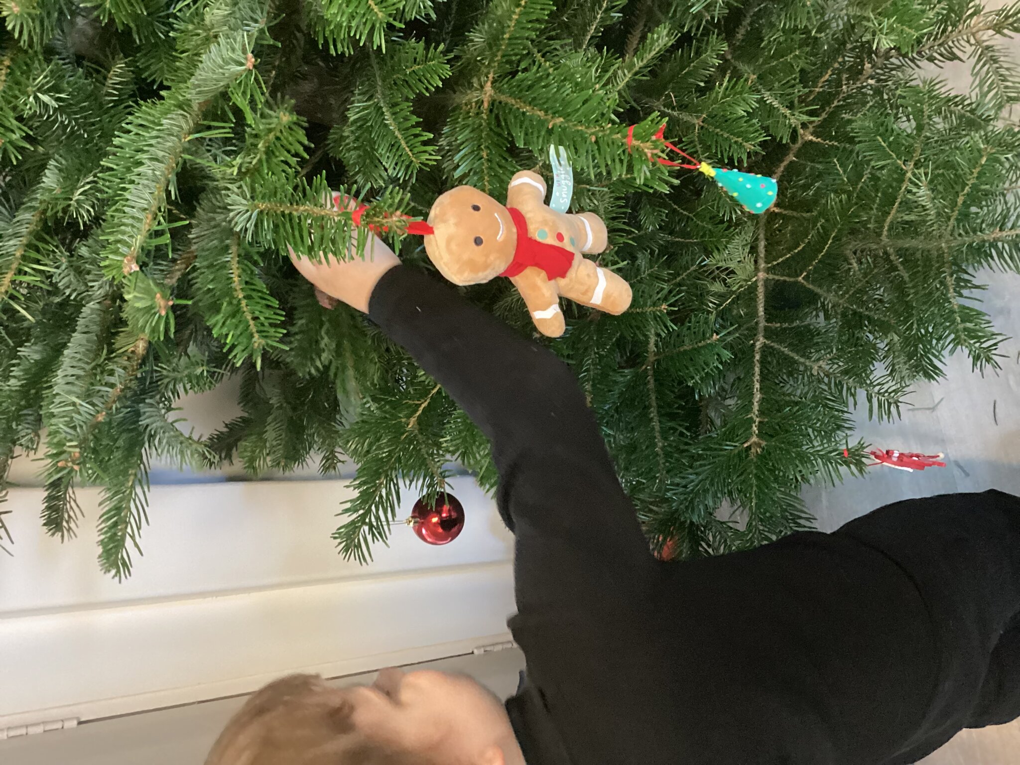 Image of The Sweet Smell of Christmas