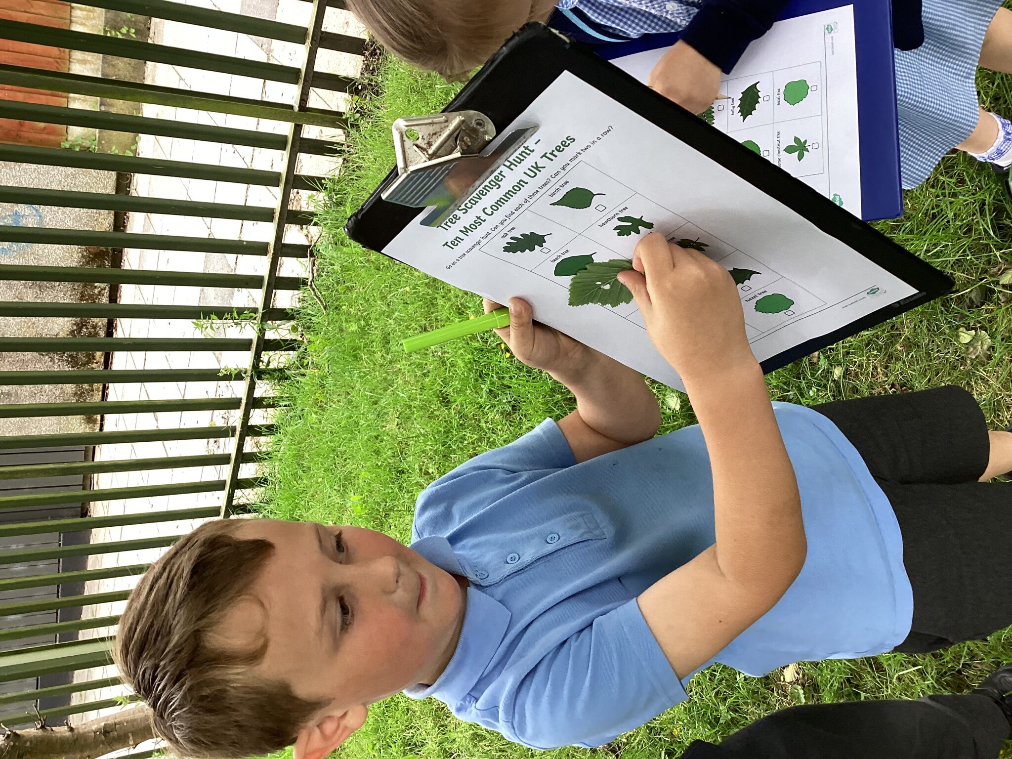 Image of Year 1 - Science- Trees and leaves 