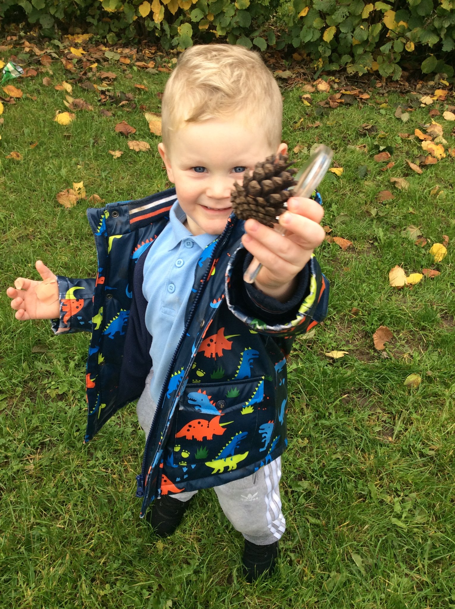 Image of Autumn Walk- Looking for signs of Autumn!