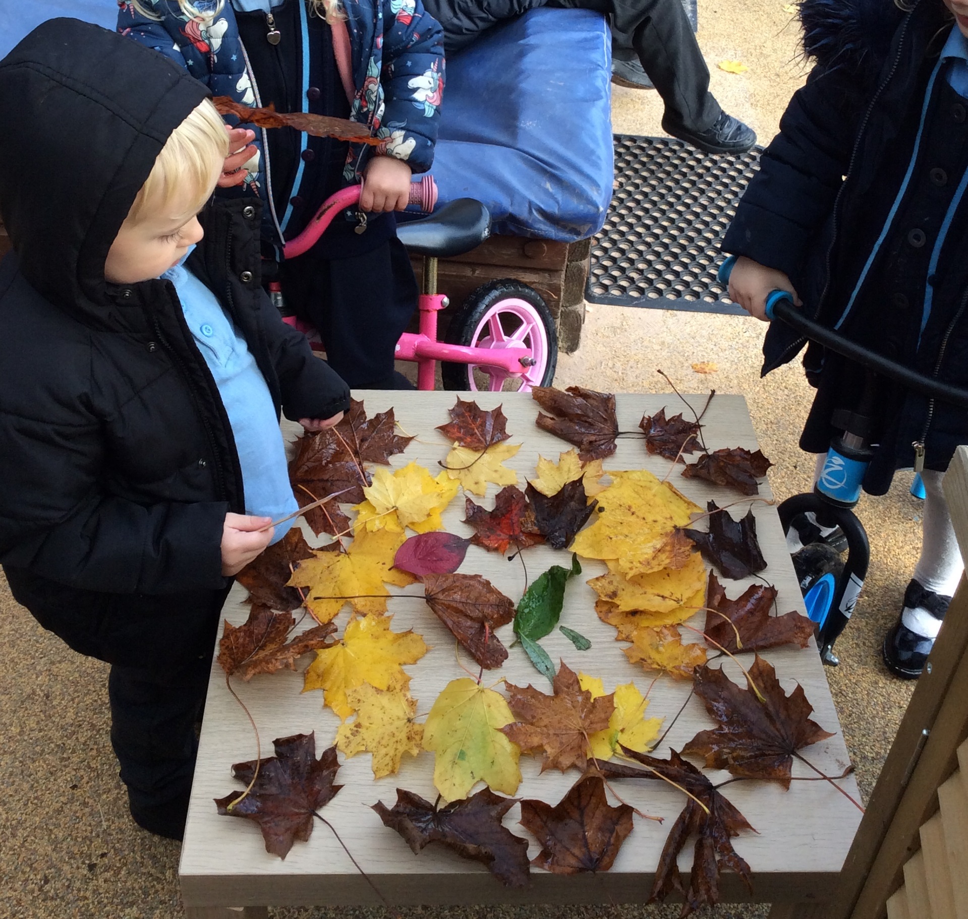 Image of Pre School- Arts and Culture celebration day. 