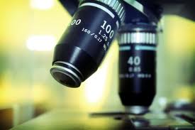 Image of A Sample Course