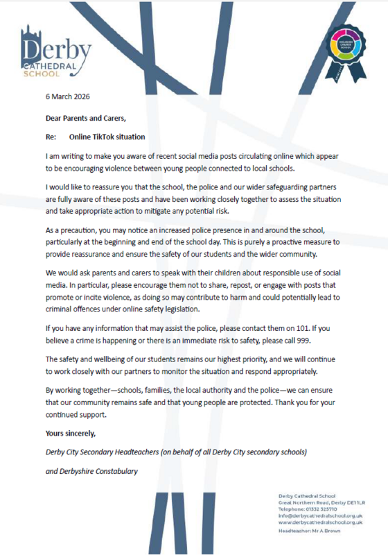 Image of Online TikTok Situation