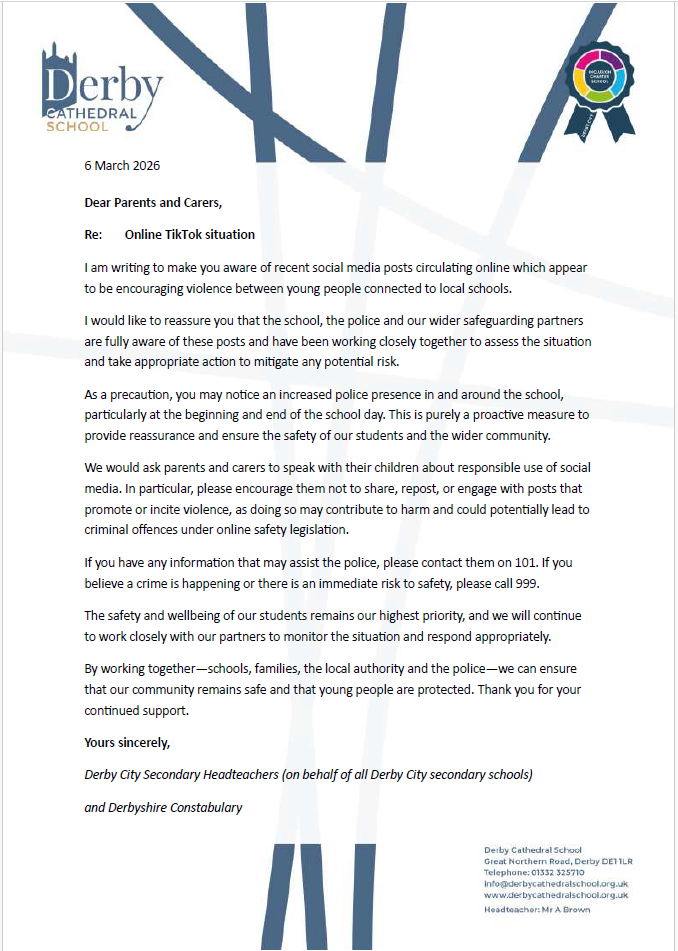 Image of Online TikTok Situation