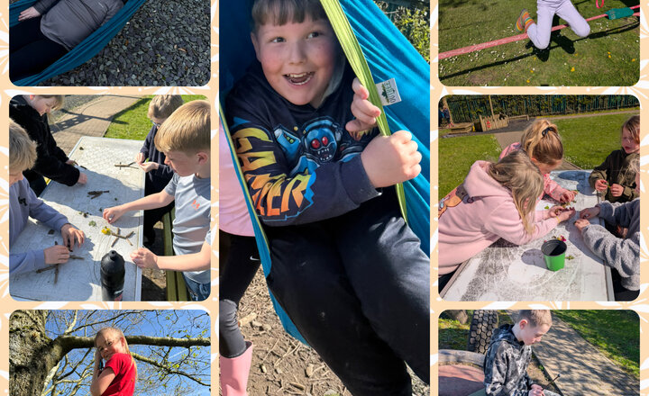 Image of Newsletter 24th April 2026