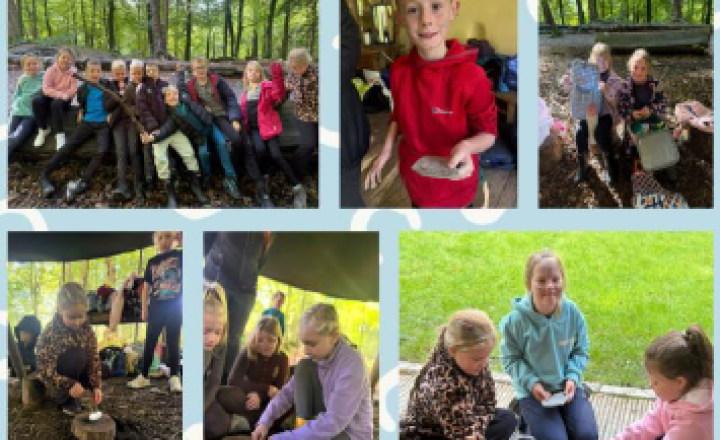 Image of Newsletter 2nd October 2026